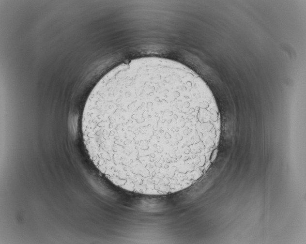 X0000112830070200910021231