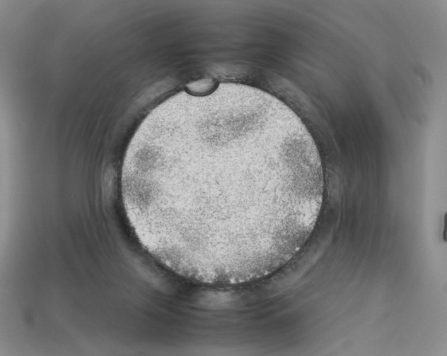 X0000112830071200910021231