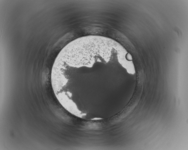 X0000112830073200910021231