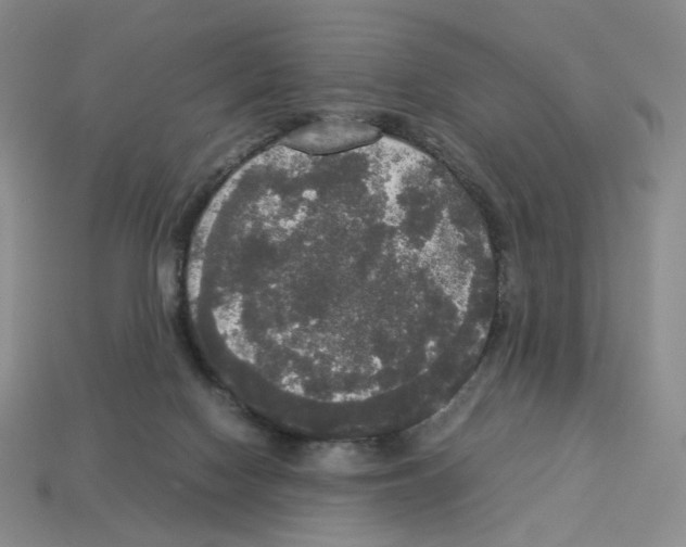 X0000112830074200910021231