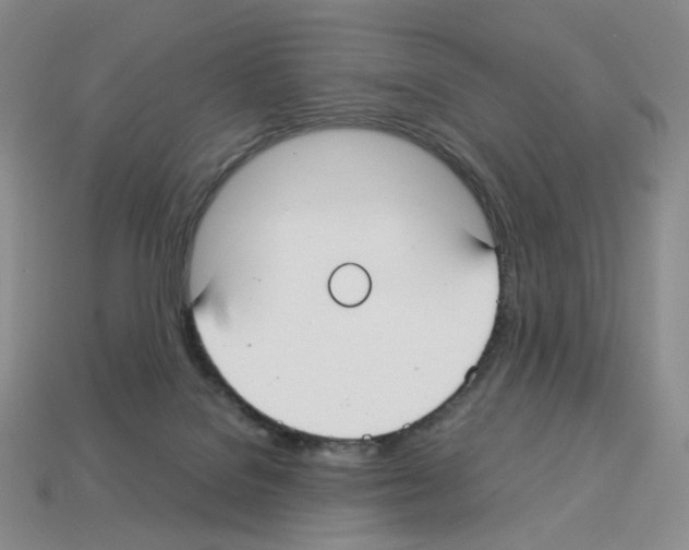 X0000112830076200910021231