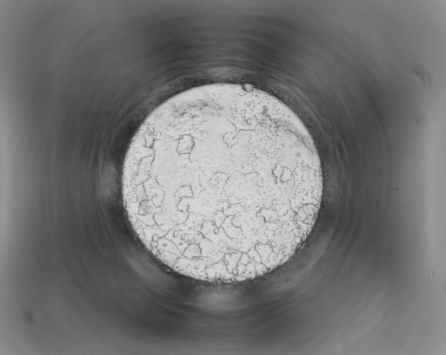 X0000112830077200910021231