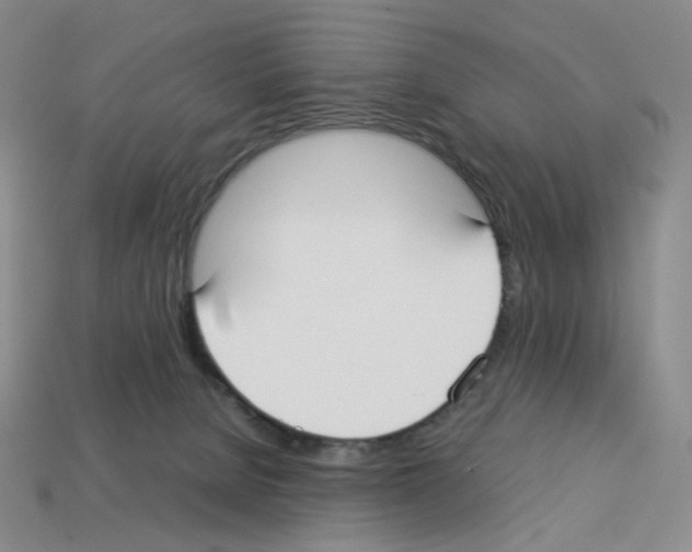 X0000112830080200910021231