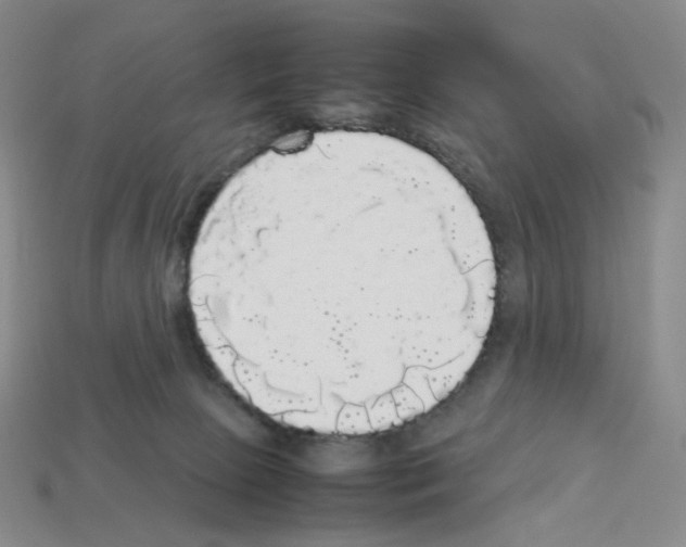 X0000112830081200910021231