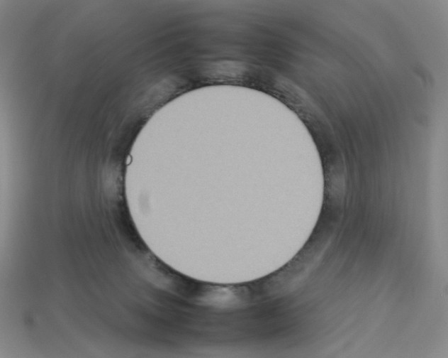 X0000112830083200910021231