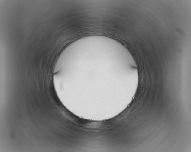 X0000112830084200910021231