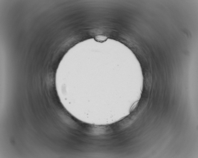 X0000112830085200910021231