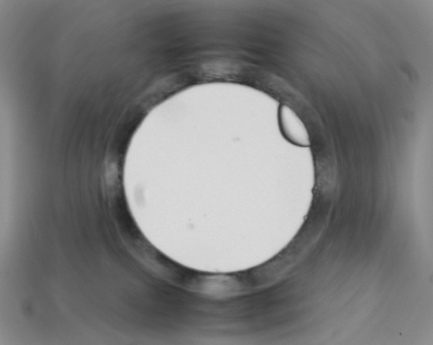 X0000112830087200910021231