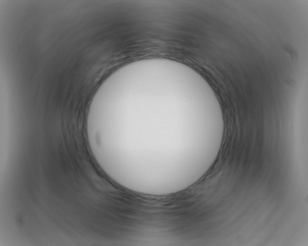 X0000112830088200910021231