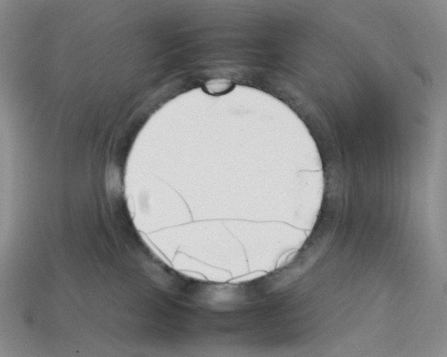 X0000112830089200910021231