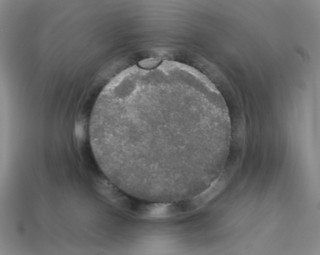 X0000112830090200910021231