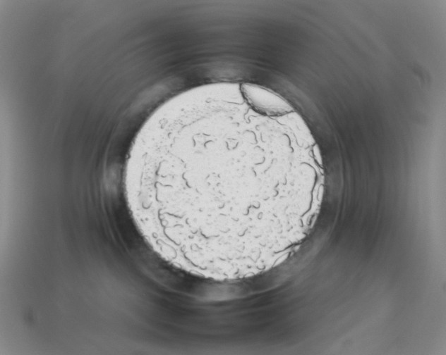 X0000112830093200910021231