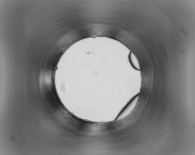 X0000112830094200910021232