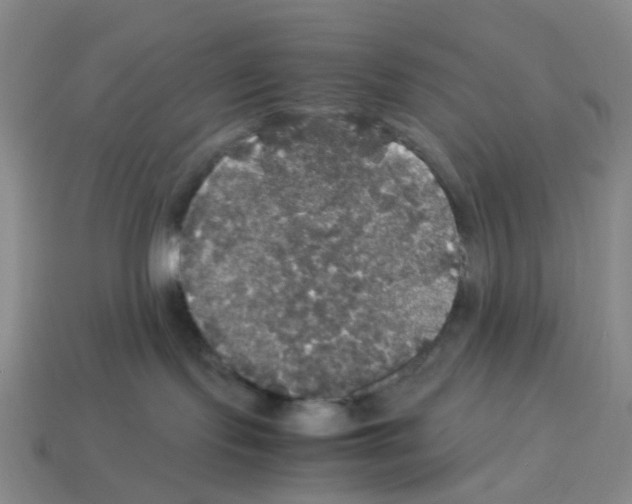 X0000112830095200910021232