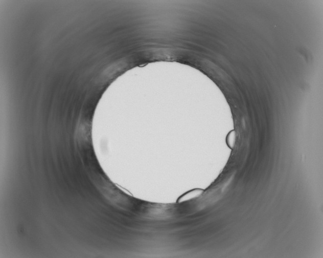 X0000112830096200910021232