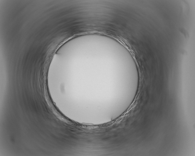 X0000112830097200910021231