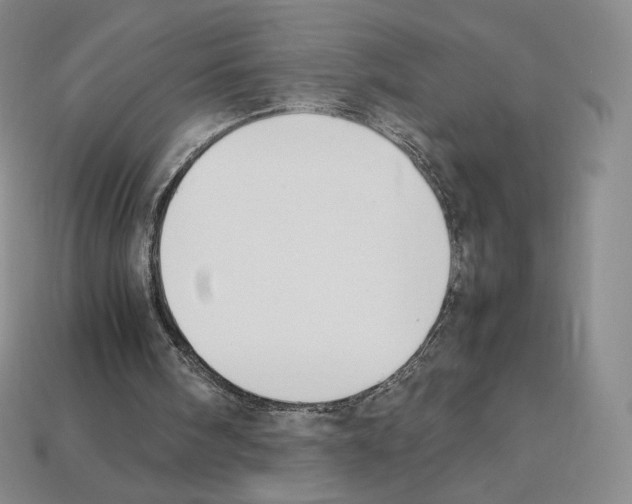 X0000112830098200910021231