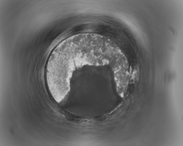 X0000112830099200910021231