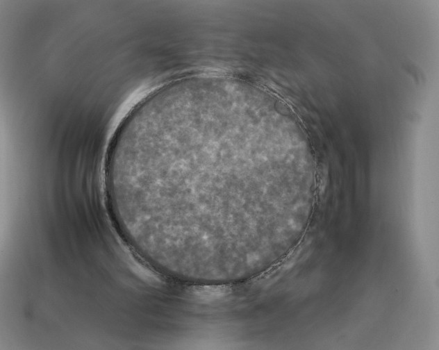 X0000112830102200910021231