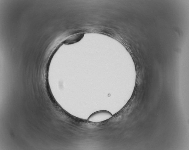 X0000112830103200910021231