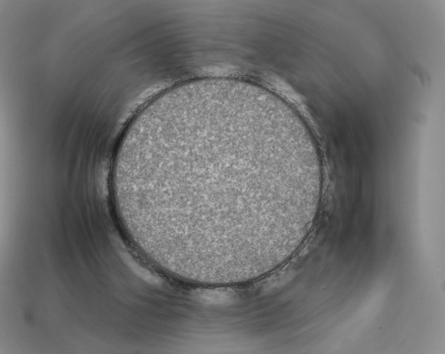 X0000112830106200910021231