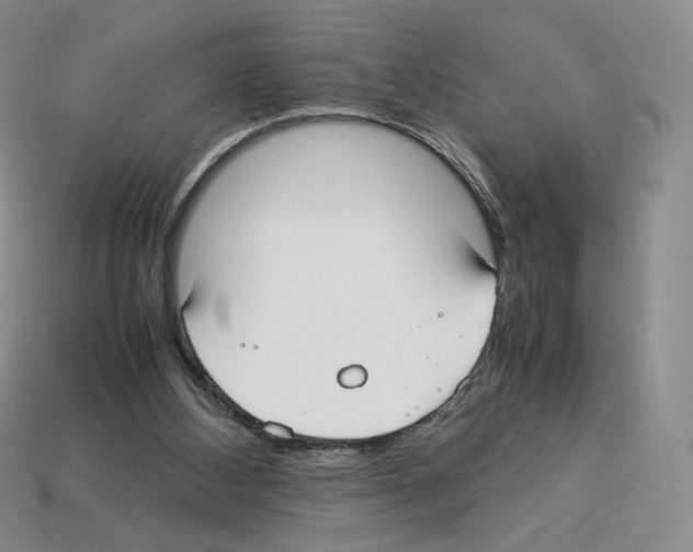 X0000112830108200910021231