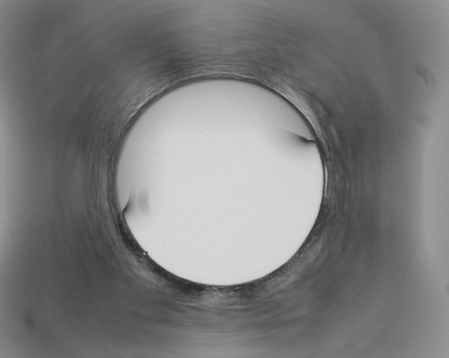 X0000112830109200910021231