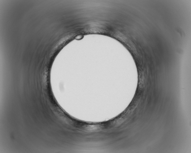 X0000112830111200910021231