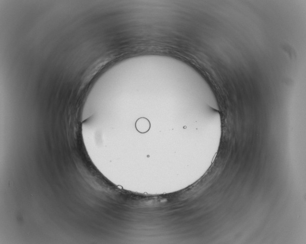 X0000112830116200910021231