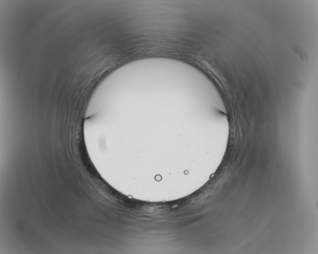 X0000112830117200910021231