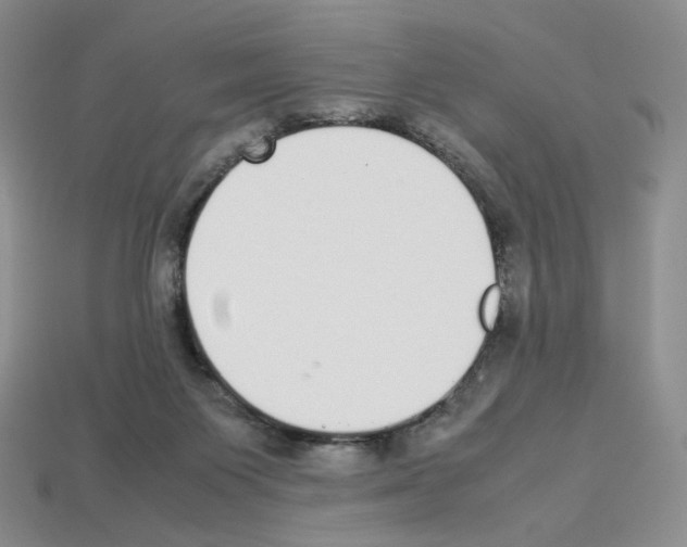 X0000112830119200910021231