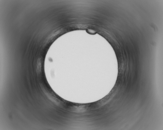 X0000112830120200910021231