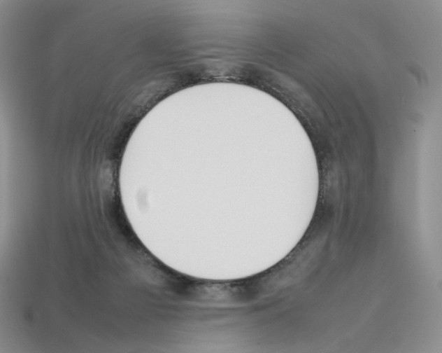 X0000112830121200910021231