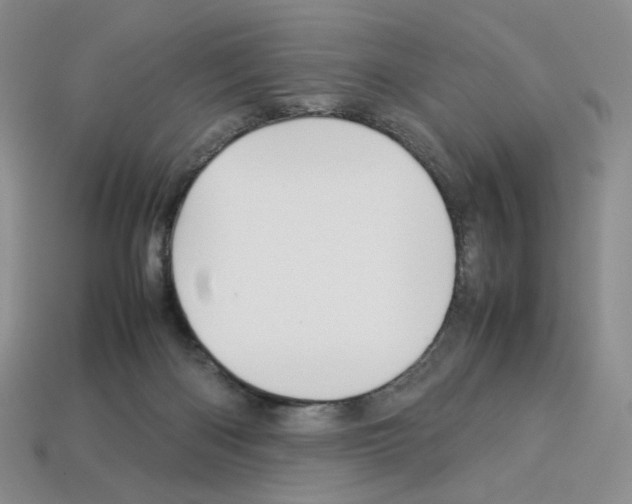 X0000112830122200910021231