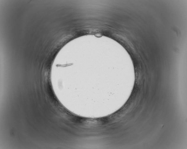 X0000112830123200910021231