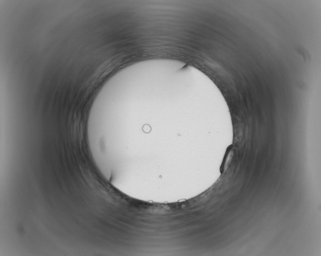 X0000112830124200910021231