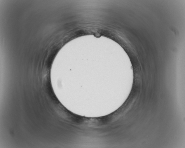 X0000112830125200910021231