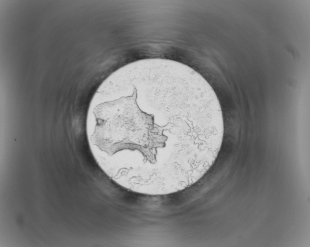 X0000112830131200910021230