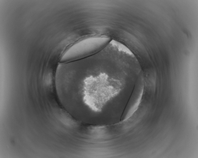 X0000112830132200910021230