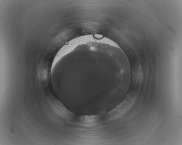 X0000112830134200910021230