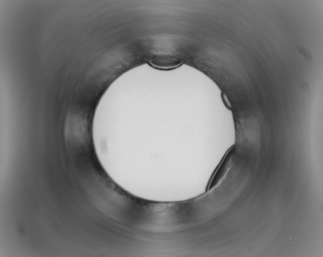 X0000112830136200910021230