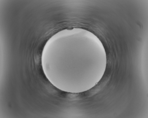 X0000112830139200910021230