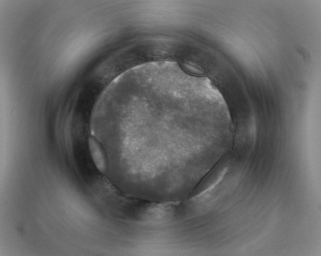 X0000112830140200910021230