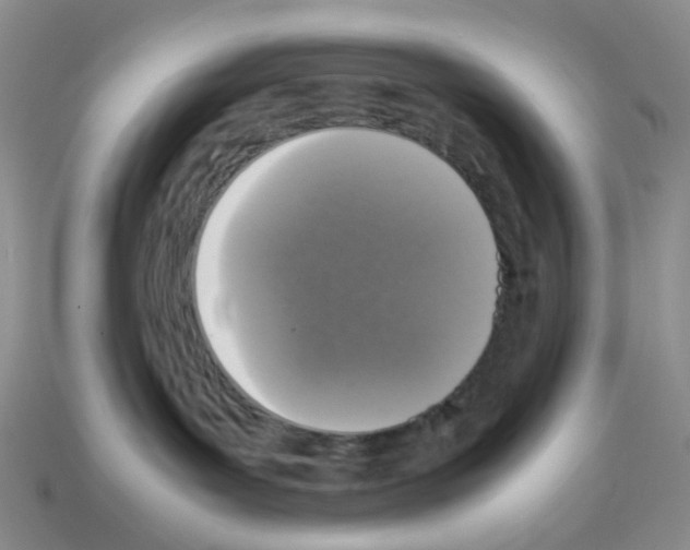 X0000112830143200910021230