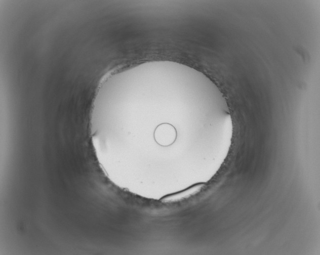 X0000112830144200910021230