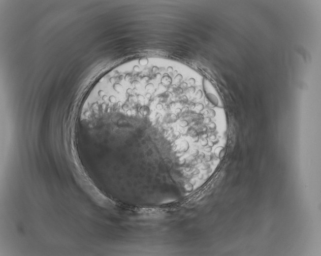 X0000112830145200910021230