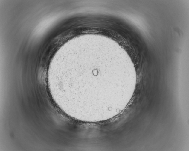 X0000112830146200910021230