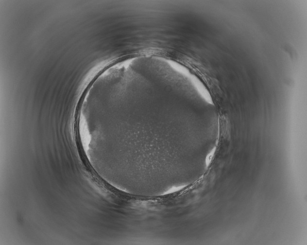 X0000112830147200910021230