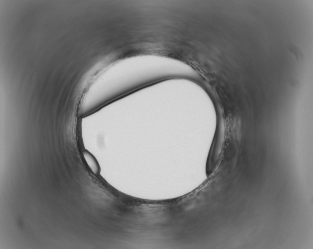 X0000112830150200910021230