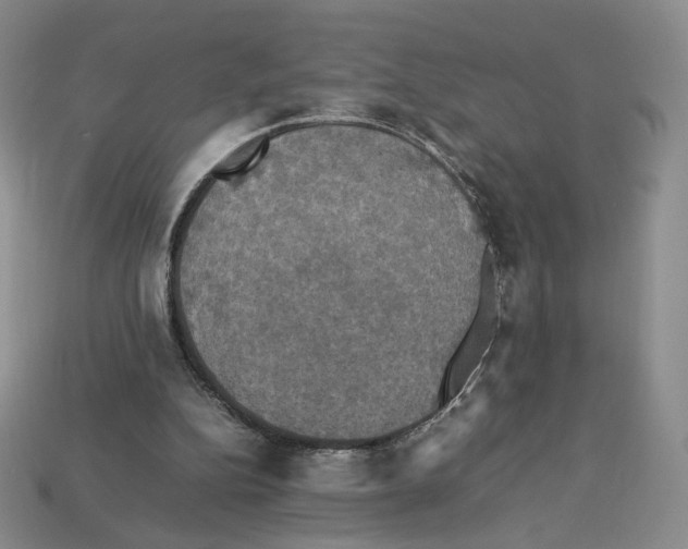 X0000112830152200910021230